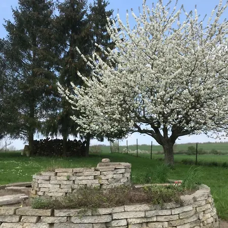 Alte Kuesterei Appartement